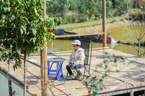 Panneau solaire photovoltaïque : les vérités à découvrir