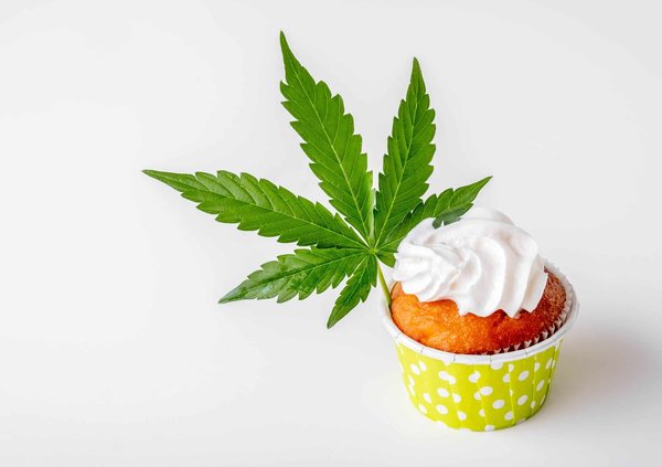 Comment incorporer les fleurs de chanvre dans vos recettes ?